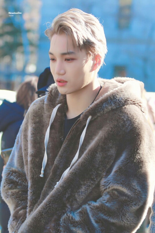 natepann_temp1544931337981-144917436.tmp