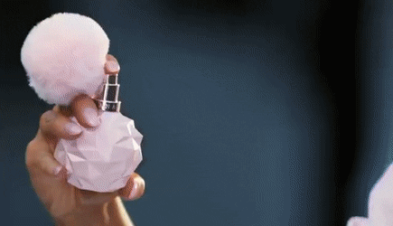 NastyBrownAmericanbobtail-small