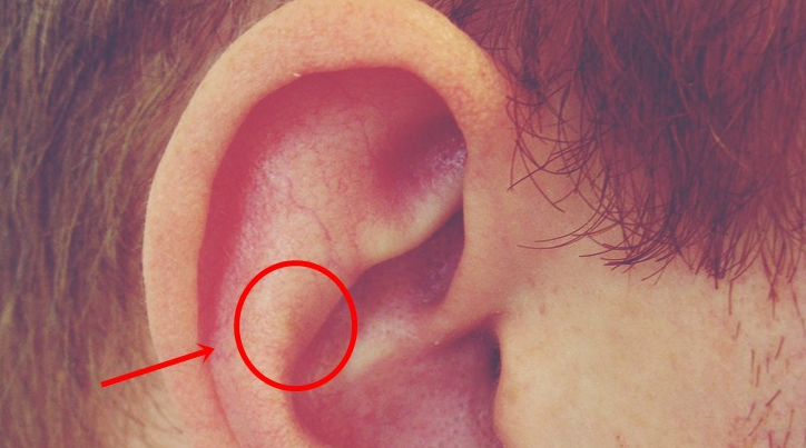 23d422582e8043598d649fdf3aa2d236