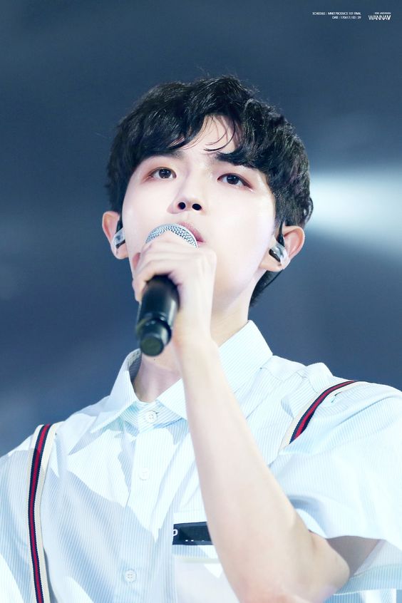 358635fff0555233061c365530a959cc