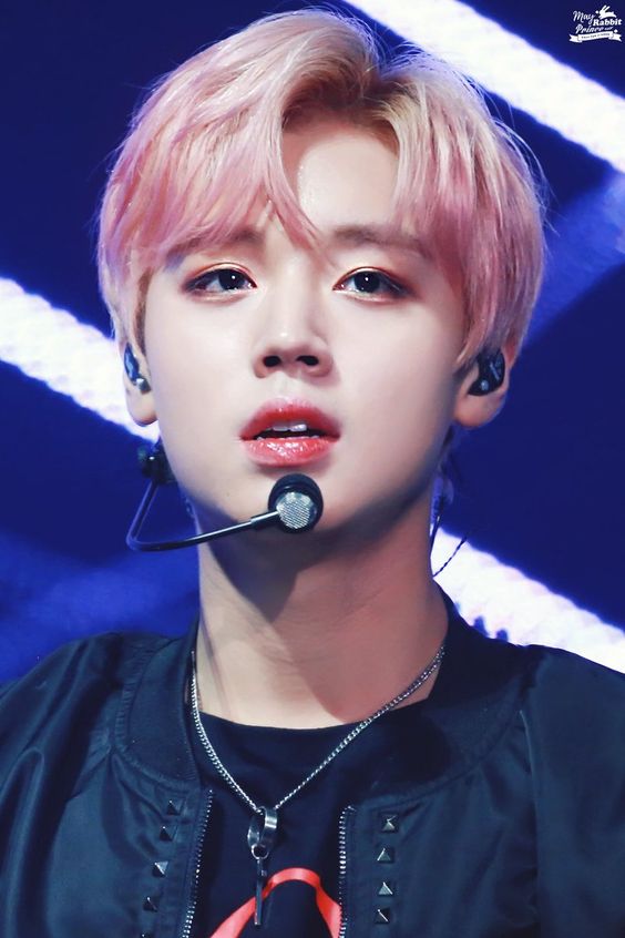 53dc6882244490ba521a157b7e31810d