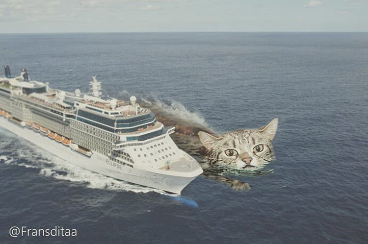 KakaoTalk_Photo_2019-02-01-12-25-17-3