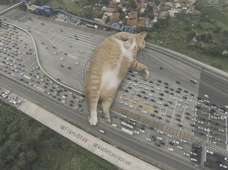 KakaoTalk_Photo_2019-02-01-12-25-17-4