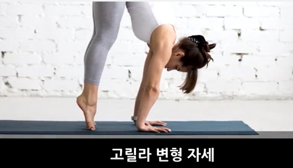 ally_2019-02-03_14-17-05_342681