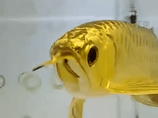 b160a02e960e6827edcd8871d3bcb04f