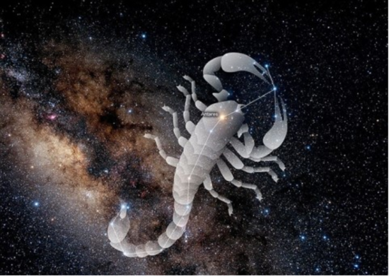 cafeptthumb-phinf.pstatic-6