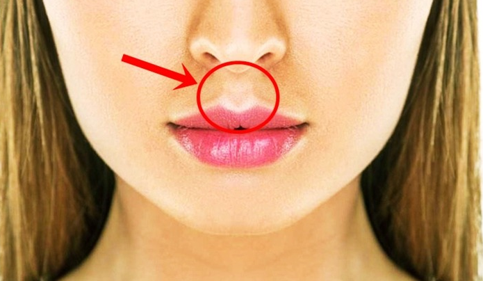 f30e6a0c7dfb4388a2d391b4806a2e55