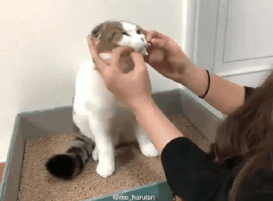 01689795c9594c9ca29088489355f1a4