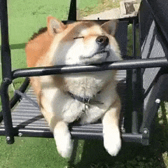 6VR7xG5Qg3OiOG0_small_thumb