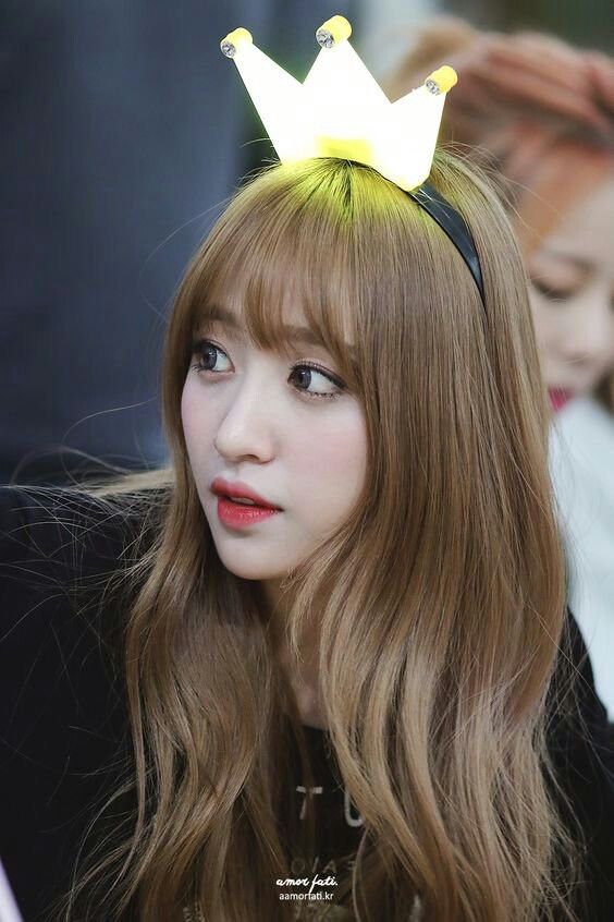 a29c322797fa49791219936aa7460225