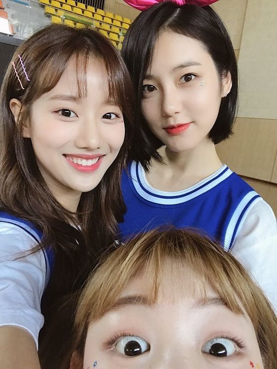 bd59b7add33c0397ec9566f7c855fc07