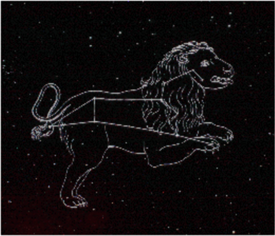 cafeptthumb-phinf.pstatic-4