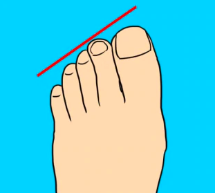 스크린샷 2019-04-04 오후 2.07.19