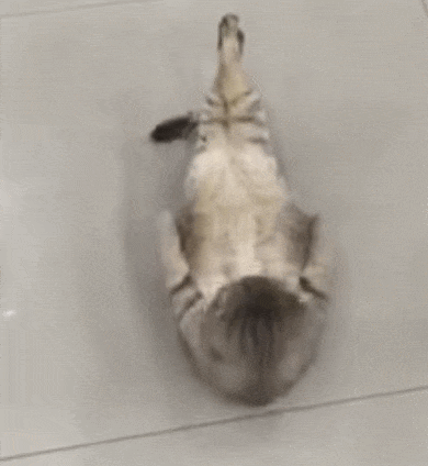 2709aa8b2239c114c431d3b8f829fbef_1545966898_9882