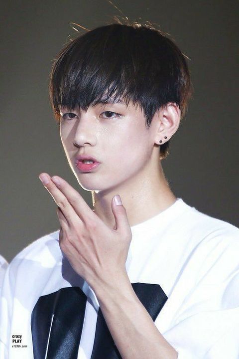 3afeafa7069a7ce6eff371b1c6c35b99