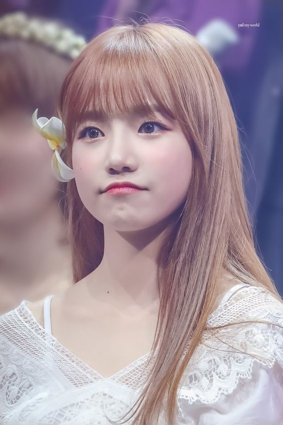 8db100615ebe99419a257ea9aef95907