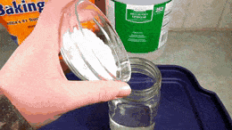 WebbedVacantHamadryas-max-1mb