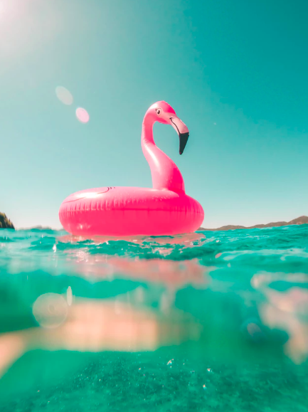 스크린샷 2019-05-16 오후 4.46.05