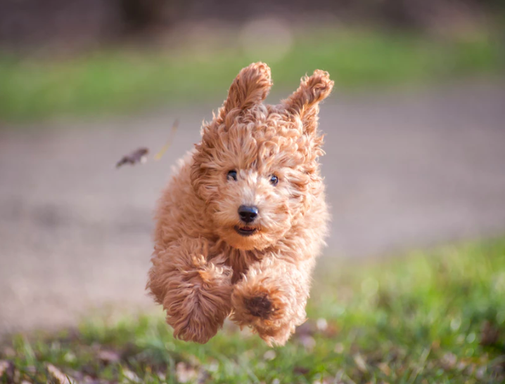 스크린샷 2019-05-28 오후 2.26.02