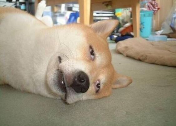 10a133adce73e9ed5cab70fb093416d5