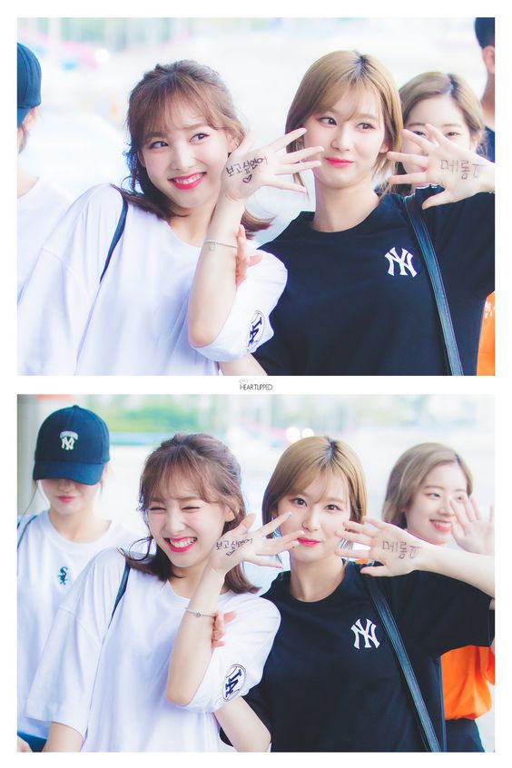 7349e9c0546a935361241c985fa6a3bd