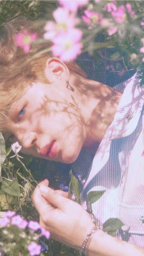 d94cc7e8024337f2625b1ccc518e4ad1