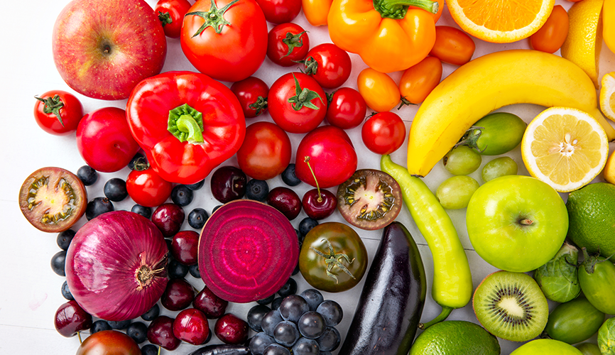 건생0827_채소먹는법_제기1