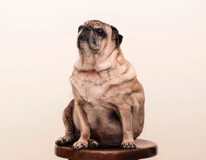 스크린샷 2019-06-04 오후 12.18.04