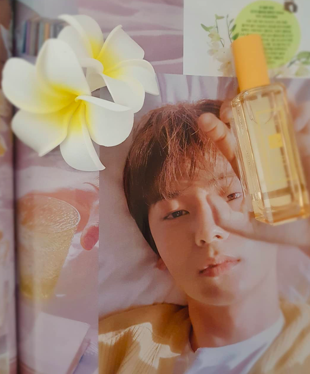 스크린샷 2019-06-12 오후 2.55.44