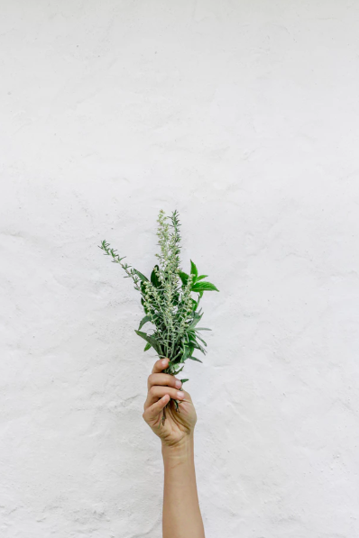 스크린샷 2019-06-13 오후 4.53.59