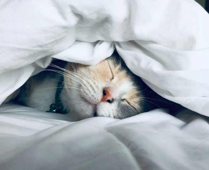 스크린샷 2019-06-19 오후 4.15.32