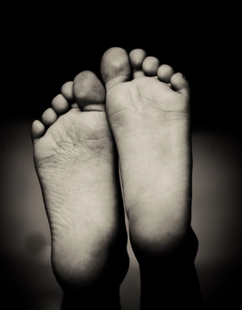 스크린샷 2019-06-25 오후 4.28.51