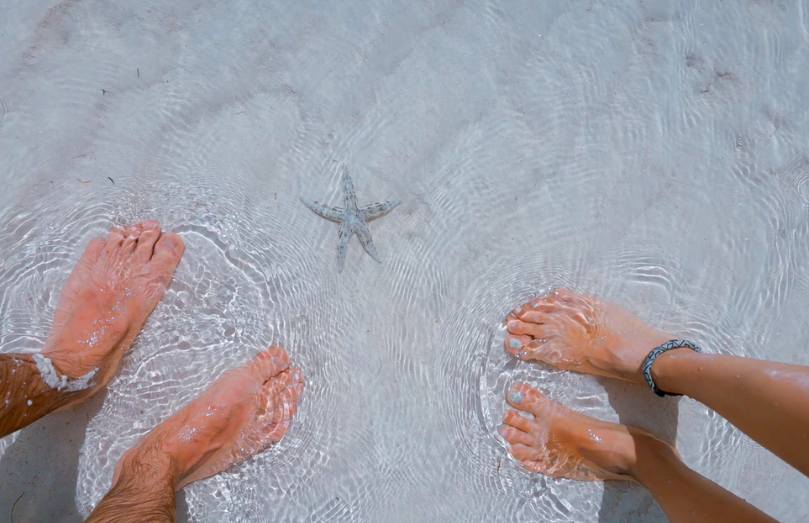 스크린샷 2019-06-25 오후 4.29.20