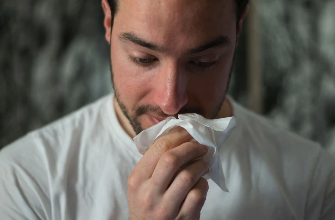 스크린샷 2020-02-07 오후 4.56.44