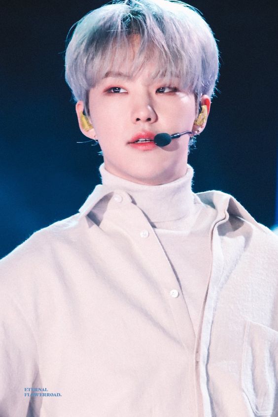 87e772ee97c45285df49623082f6d685