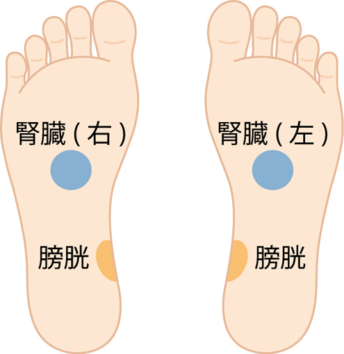 ally_2019-06-16_03-15-26_046984