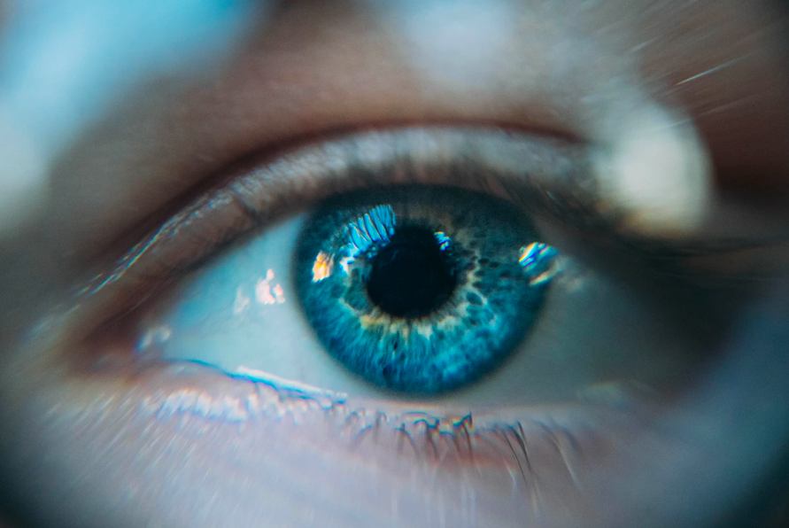 스크린샷 2019-07-03 오후 2.40.48