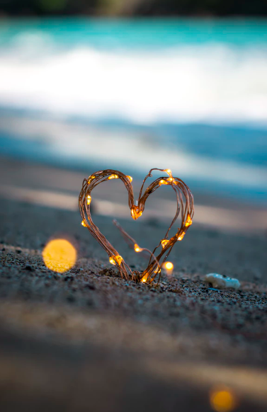 스크린샷 2019-07-04 오후 3.28.25