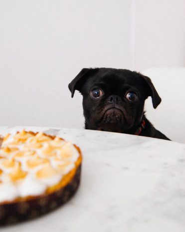 스크린샷 2019-07-18 오후 3.12.10