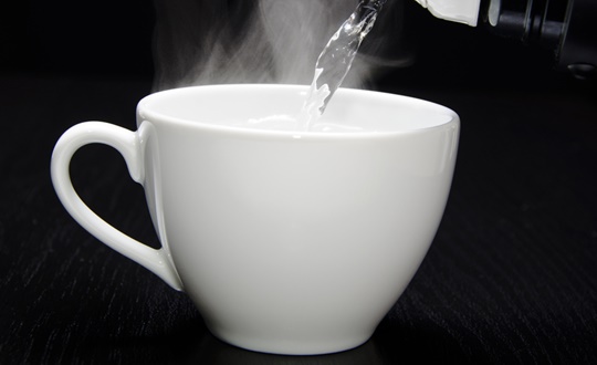 shutterstock_1248_540