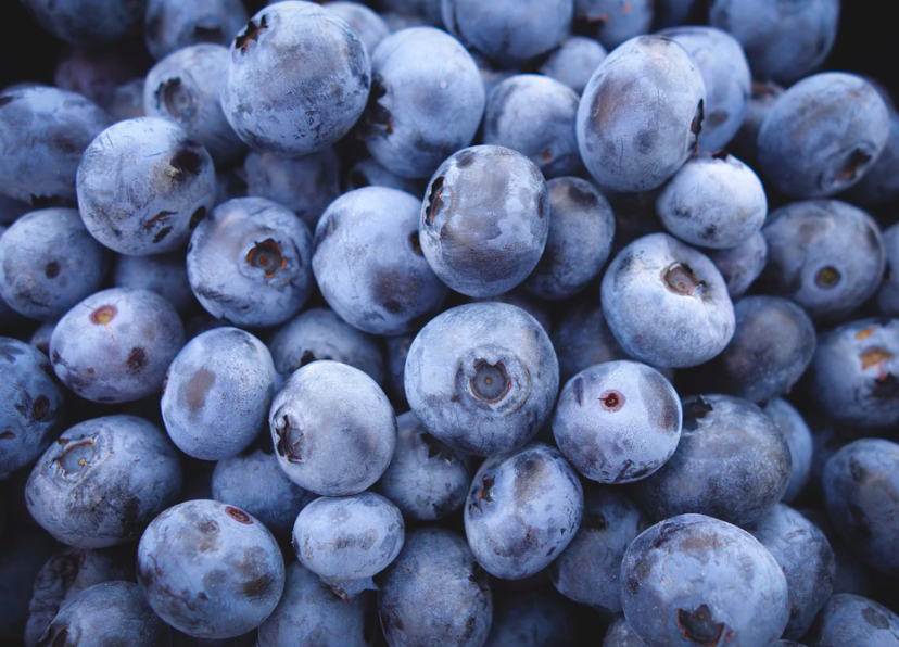 스크린샷 2019-08-07 오후 12.40.41