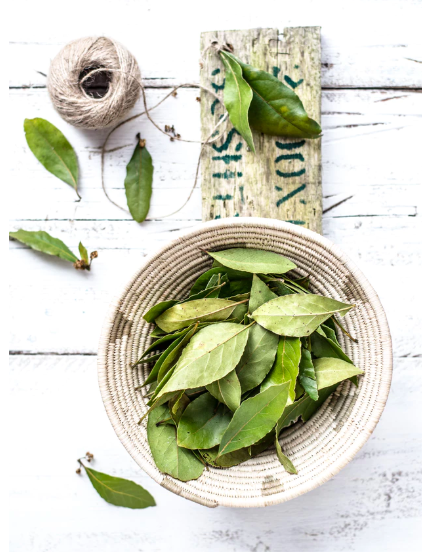 스크린샷 2019-08-07 오후 12.41.33