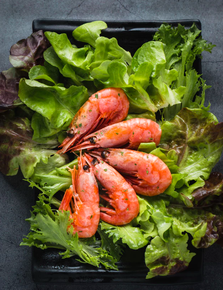 스크린샷 2019-08-19 오후 2.52.19