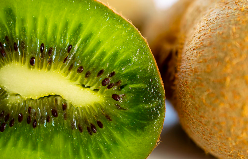 스크린샷 2019-08-19 오후 2.55.22