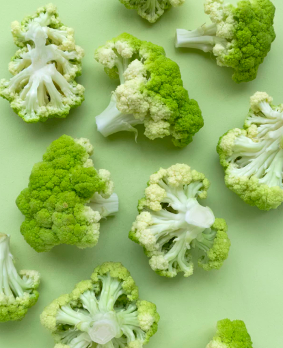 스크린샷 2019-08-19 오후 2.55.53