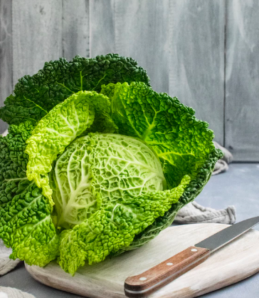 스크린샷 2019-08-19 오후 2.56.22