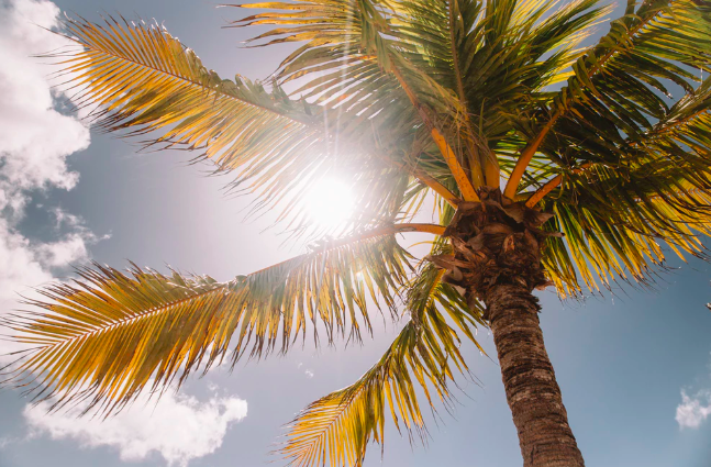 스크린샷 2019-08-27 오후 2.29.04