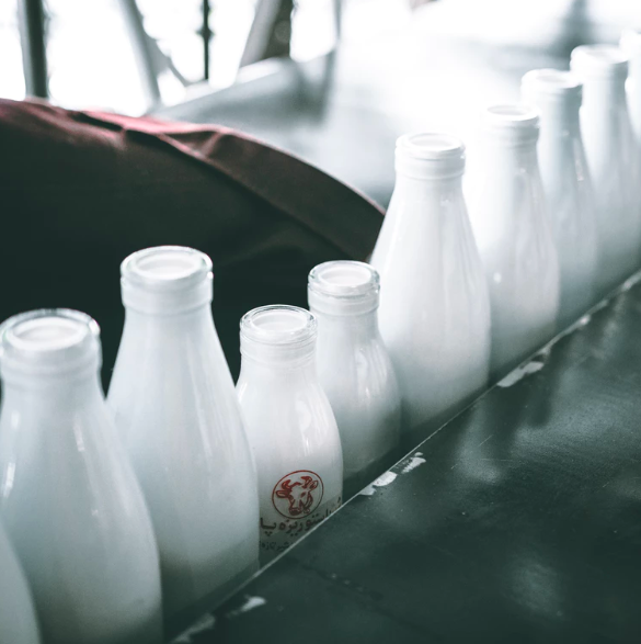 스크린샷 2019-08-29 오후 4.36.07