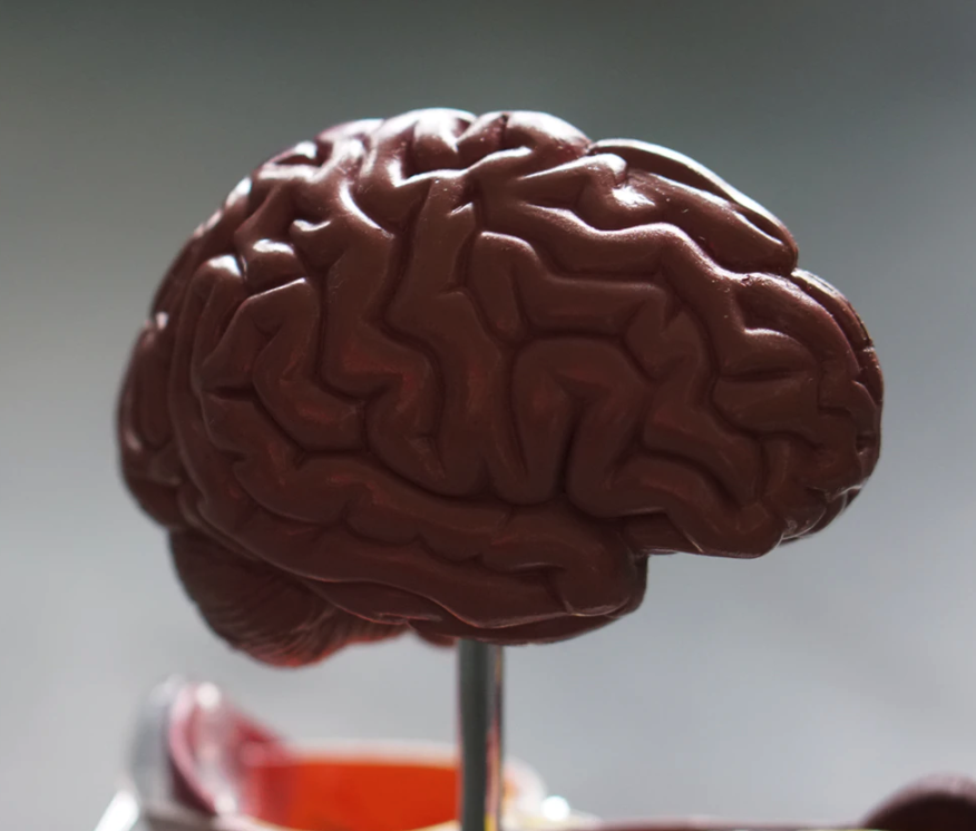 스크린샷 2020-02-10 오후 3.29.41