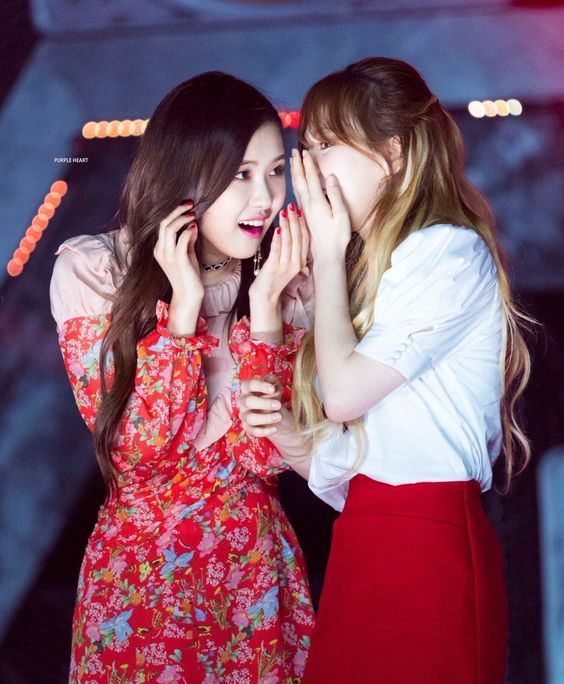 743a8d52c99ec74e360ffbb734889fdd